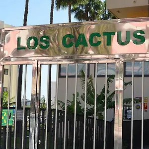 Cactus Apartamento